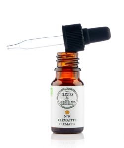 Clématite - Clematis (Fleur de Bach n°9) BIO, 10 ml